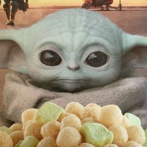 Meet your Posher, Erika